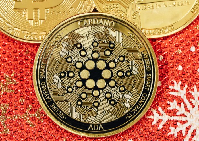 ADA the coin used in the Pavia Metaverse