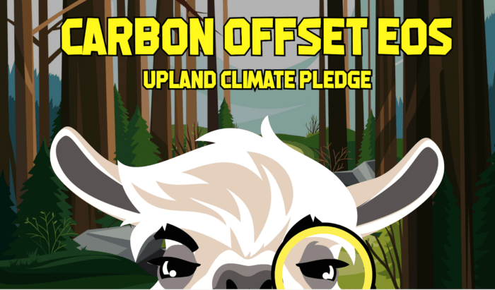 Upland Metaverse Mascot wearing a monocle in a forest setting