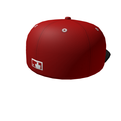 Roblox outfit hat