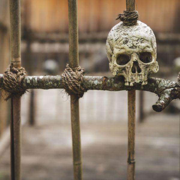 white skull on brown metal fence